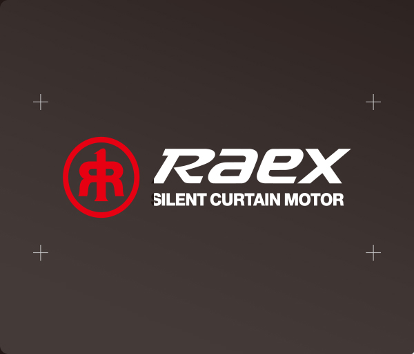 <em>RAEX 品牌</em>核心價(jià)值
